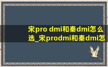 宋pro dmi和秦dmi怎么选_宋prodmi和秦dmi怎么选择